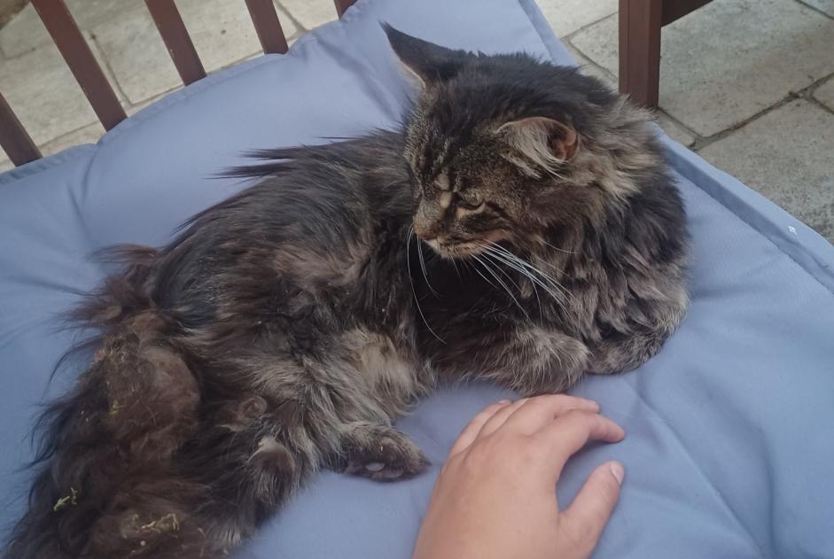 Ontdekkingsalarm Kat  Onbekend , 2 jaar Sylvains-Lès-Moulins Frankrijk